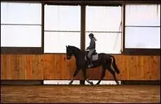 Que fait un cheval au pas qui se met  latraliser ?