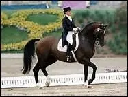 Lors d'une comptition de dressage, il est not sur le protocole, en regard de la note du pas allong : 'Pas tout  fait  quatre temps. ' De quel type de dfaut s'agit-il ?