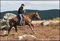 Le galop qualifi de 'rompu' prsente un dfaut de quel type ?