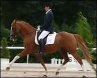 En quoi consiste le fait d'allonger le trot ?