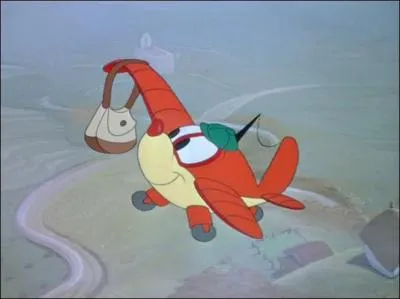 Quel genre d'avion est-il ?