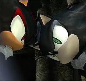 Que porte Shadow autour de ses poignets ?