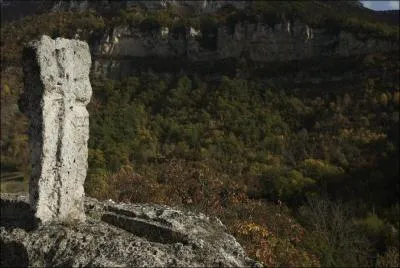 Dans quelles rgions de France trouve-t-on des vautours ?