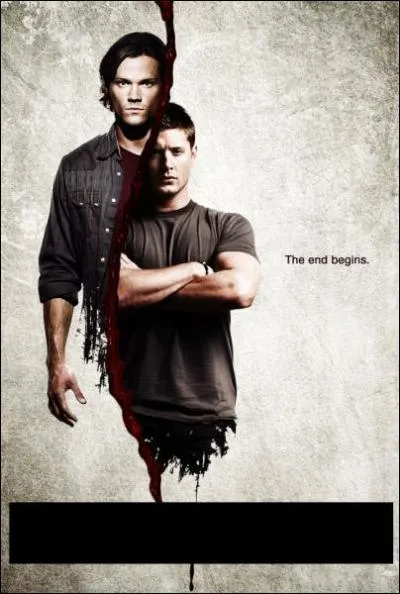 Quel est le titre de cette srie ?