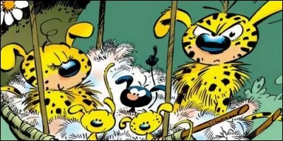 Comment se nomme ce dessin animé qui nous parle d'un animal sauvage, provenant de la forêt palombienne ?