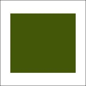 Attention trs difficile maintenant, comment dit-on kaki ?