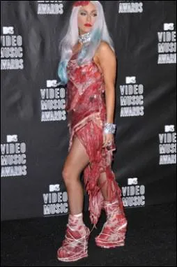 En quoi tait faite cette robe porte par Lady Gaga lors des derniers MTV Vido Music Awards ?