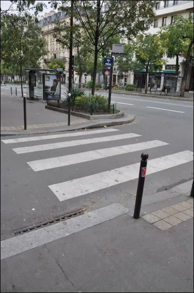 Si un piton traverse la rue en dehors des clous, il risque une amande de ... . .