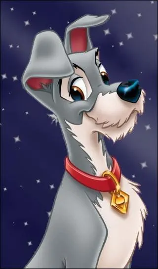 La Valentine du Clochard (de Walt Disney) est...