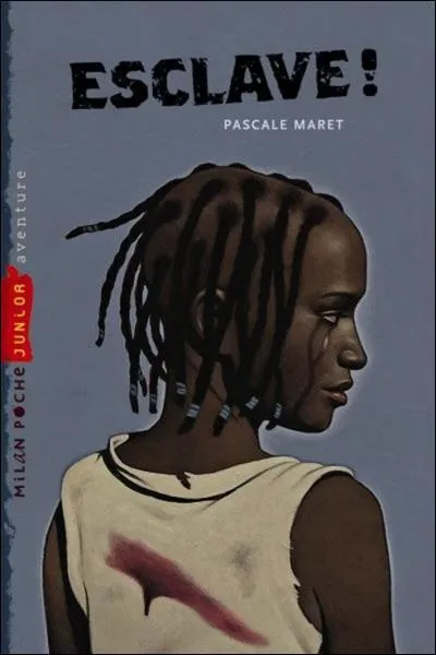 Quel est l'auteur du livre 'Esclave' ?