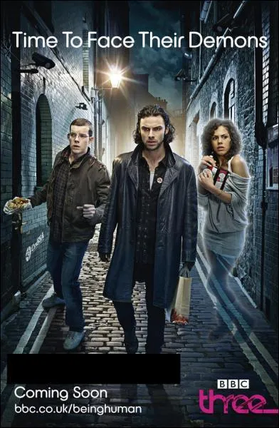 Quel est le titre de cette srie ?