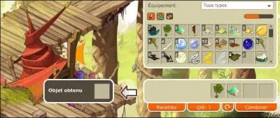 Comment s'appelle le PNJ pour monter  l'chelle au village des brigadiens ?