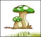 Quel est ce champignon ?