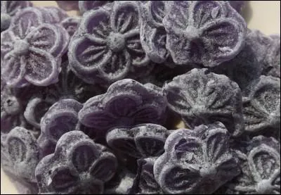 Quelle est cette friandises labore  partir de fleurs fraches de violettes cristallises dans le sucre, spcialit de Toulouse ?