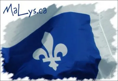 Quel duo de boxeur Qubcois se sont affronts  deux reprises dans un combat de championnat du monde ?