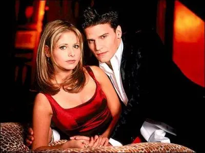 Dans quelle srie joue ici David Boreanaz ?