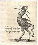 Dragons  tte de coq qui vous changent en pierre si vous les regardez...