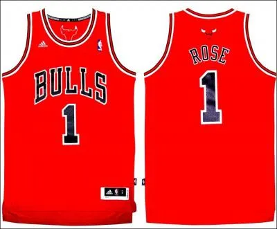 Dans quelle ville jouent les Bulls ?