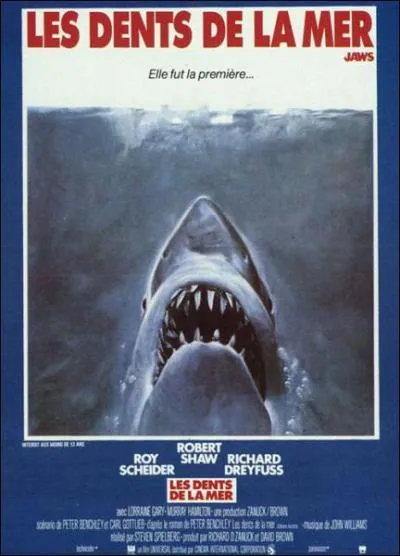 A la surface , il y avait :