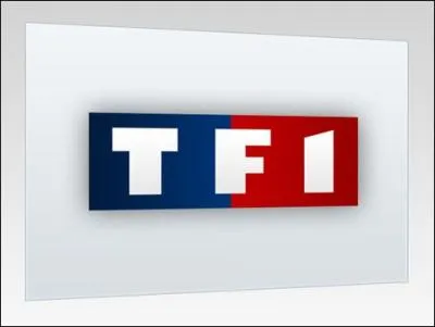 En quelle anne TF1 a-t-elle t privatise ?