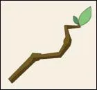 Quelle est cette arme ?