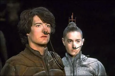 Quelle activit pratiquent-ils ?