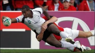 Quelle équipe est représentée par un cocotier ?