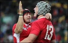 Que peut-on voir sur le maillot des joueurs du Pays de Galles ?