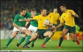 Un détour dans l'hémisphère sud et son plus grand pays : l'Australie qui a choisi comme emblème le wallaby...