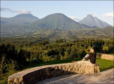Quel est ce lieu o vivent de nombreux gorilles ?