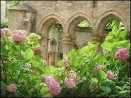 Homonyme de messager :