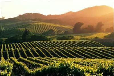 Les toréros y sont souvent blessés.