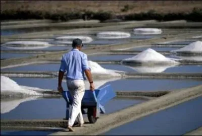 Ça pourrait être le leitmotiv d'un directeur de magasin.