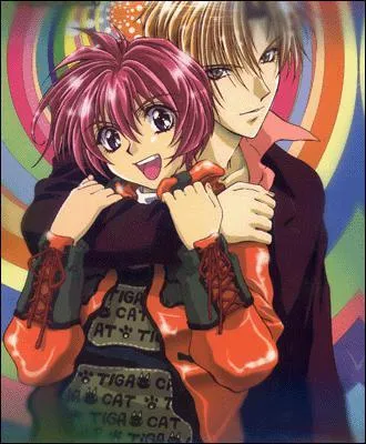 Quel est le genre de ce manga ?