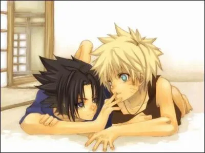 Quel est le genre de ce manga ?