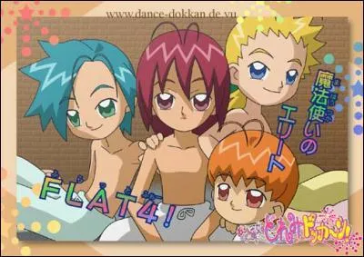 Que doivent faire les FLAT4 ?