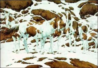 Quel est cet animal ?