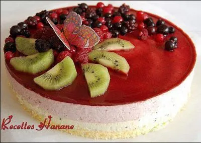 Quel est cet entremets, gnralement  base de mousse de fruits ?