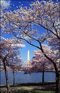 Quelle est la particularit de cette mtropole amricaine ?