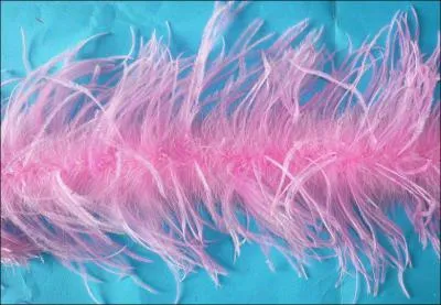 'Frler la dplume' veut dire :