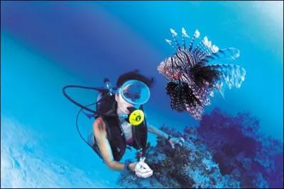 En plonge sous-marine, la narcose azote, qui rend dangereusement euphorique est surnomme 'L'ivresse des ... '