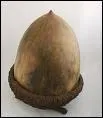 Quel est le fruit du Chne ?