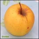 Quelle est cette variet de pomme ?