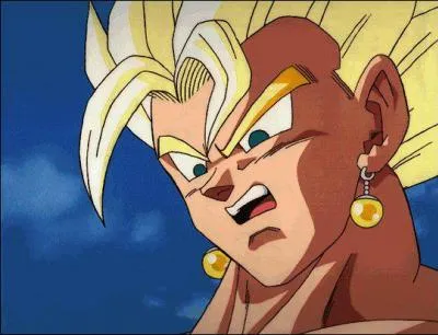 Quel nom portent les boucles d'oreille qui permettent  San Goku et Vegeta de fusionner ?