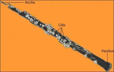 Quel est cet instrument ?