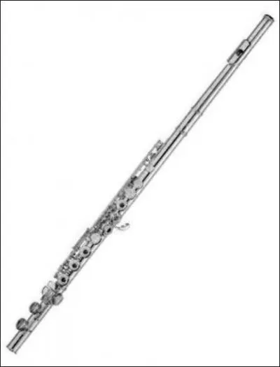 Cet instrument est...