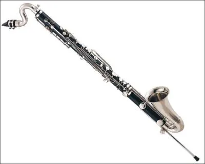 Cet instrument est...