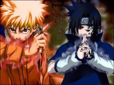 De quel manga s'agit-il ?