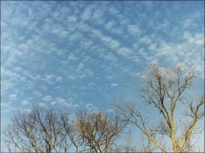 Quels nuages peut-on voir sur cette photo ?