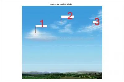 Sur ce montage, on trouve un cirrus, un cirrocumulus et un cirrostratus. Où le cirrus se trouve-t-il ?